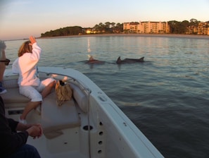 A boat with passengers, a calm sea, and a distant shoreline with buildings.
