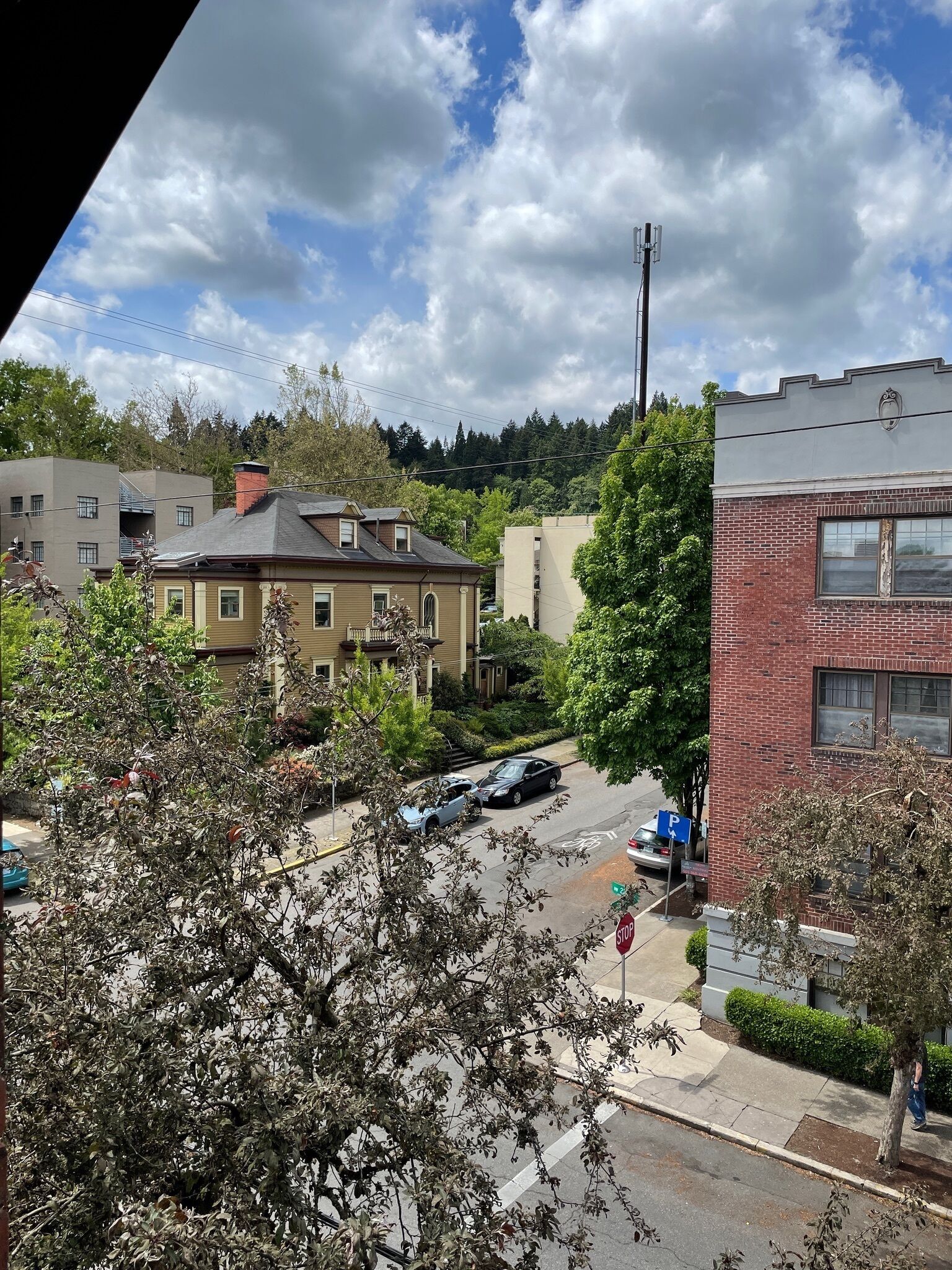 Photo - Portland International Guesthouse