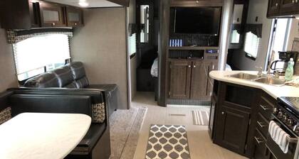 Fischenlager In Shell Beach Louisiana