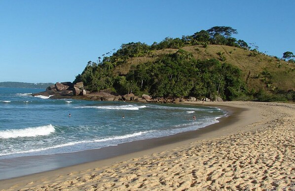 Playa en los alrededores y camastros 