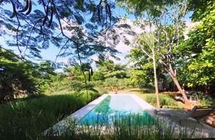 A rectangular pool surrounded by lush greenery and trees.