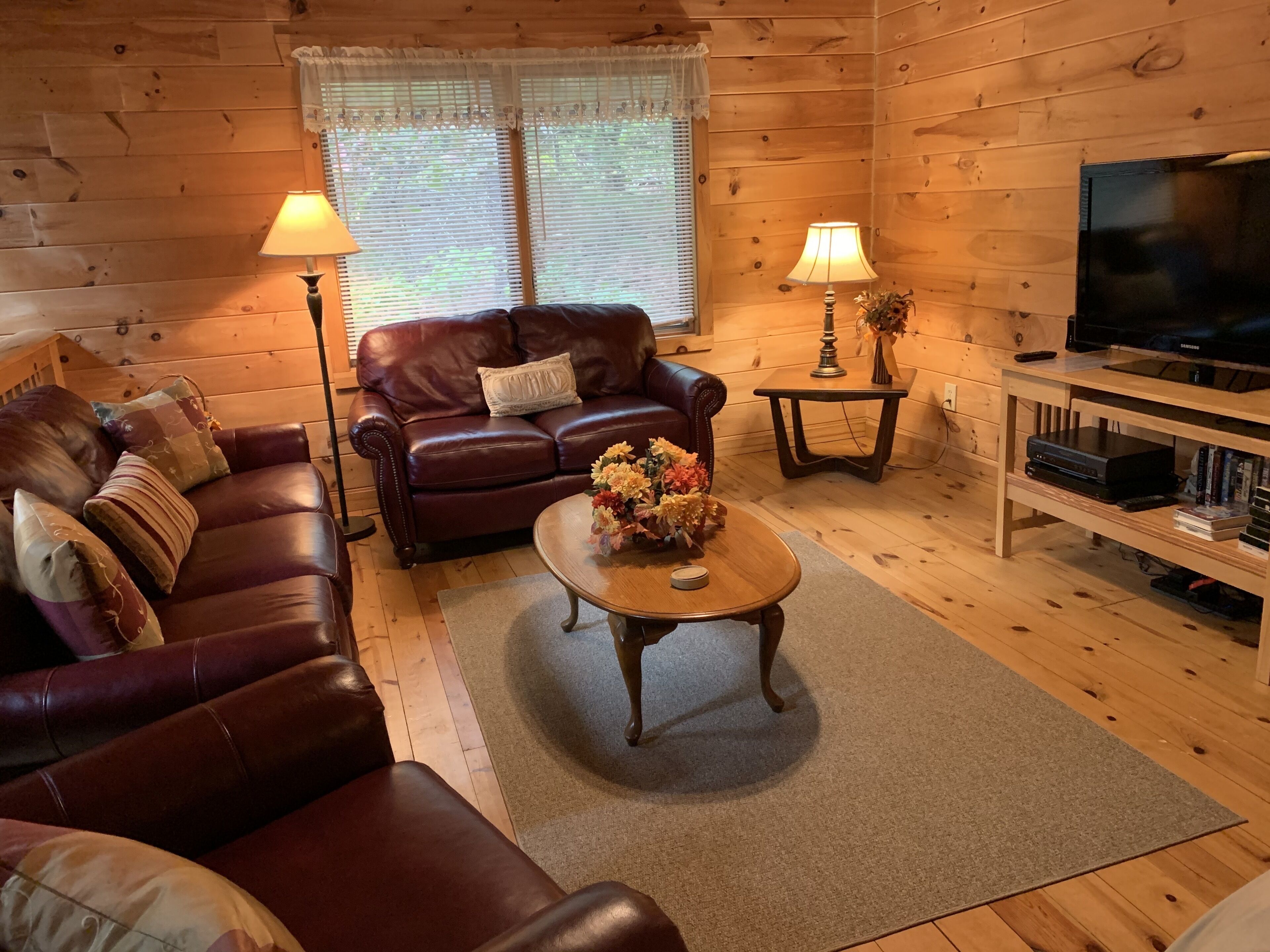 Smart TV, chimenea, videojuegos y reproductor de DVD 