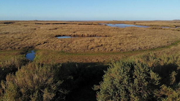 Een vlak landschap met schaarse begroeiing en kleine waterlichamen.