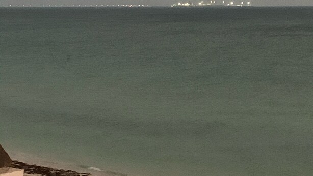 A beach with a sandy shore and some greenery. - My little paradise on earth.  (Chicxulub, Progreso, Yucatán)