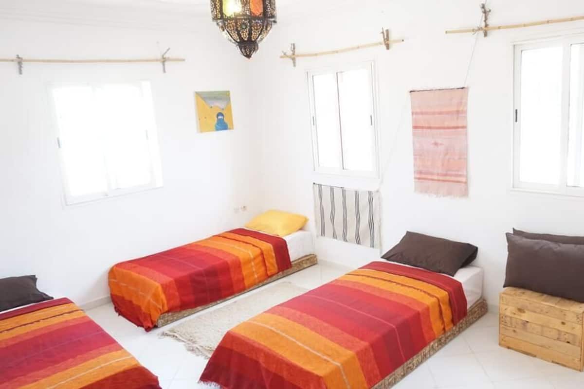 Shared Dormitory (Ali Baba Cave: 4 Single Beds)