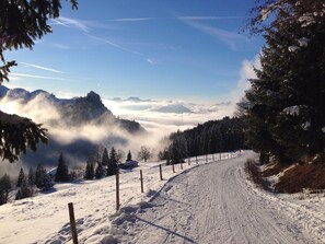 Snow and ski sports