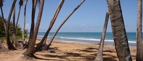 Una playa cerca