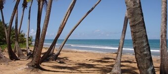Studio Villa , spectacular views, next to pool, walk to beach club