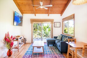 Smart TV, DVD player, books, video library