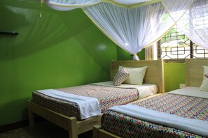 Chambre Deluxe avec lits jumeaux