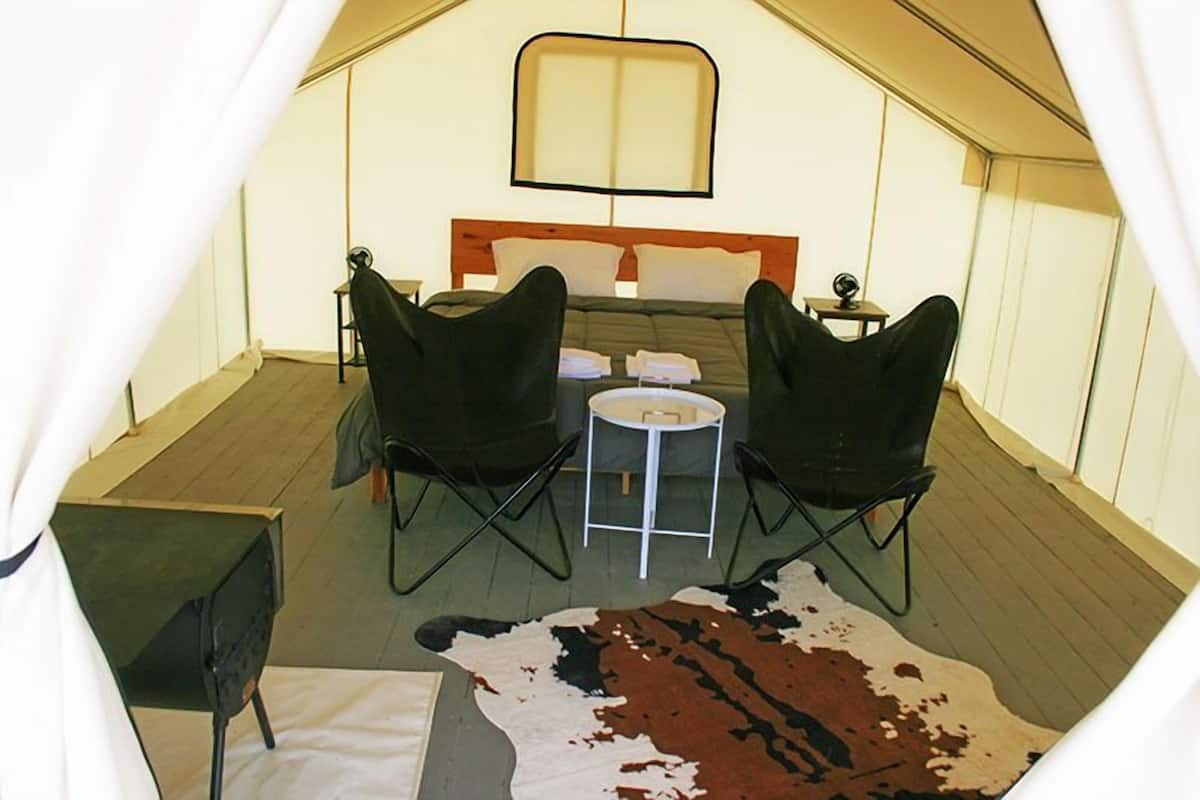 A tented accommodation with a bed, two chairs, a small table, and a cowhide rug.