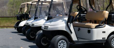 A row of golf carts parked on a paved surface.
