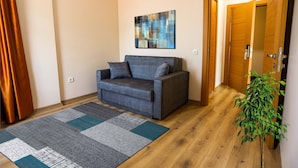 A living room with a grey sofa, a blue and white rug, and a wooden floor.