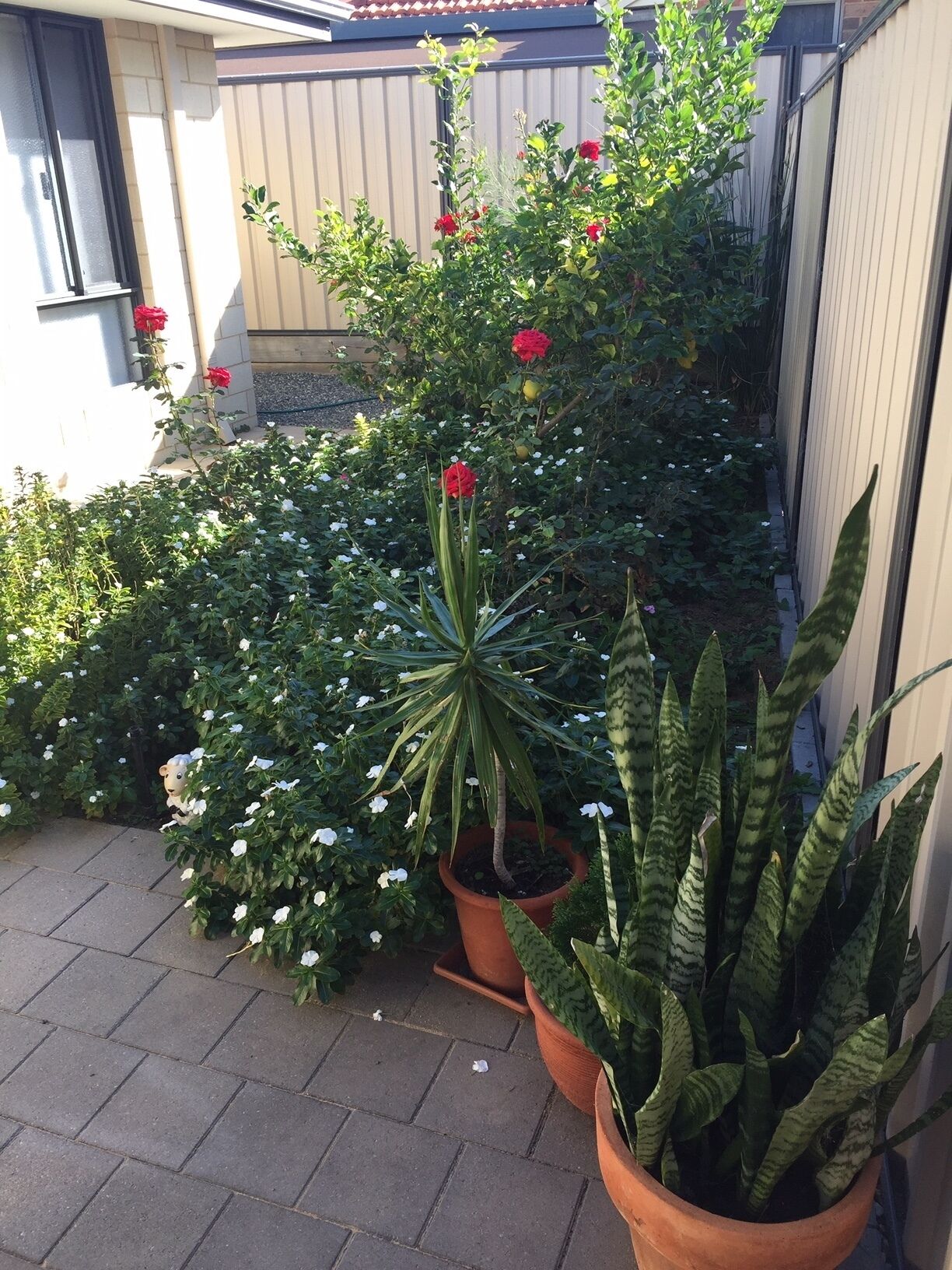 Meadow Springs - Modern & Stylish in Mandurah — image 26