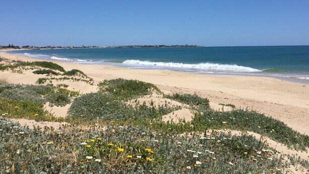 Una platja amb dunes de sorra, vegetació i un cel blau clar.