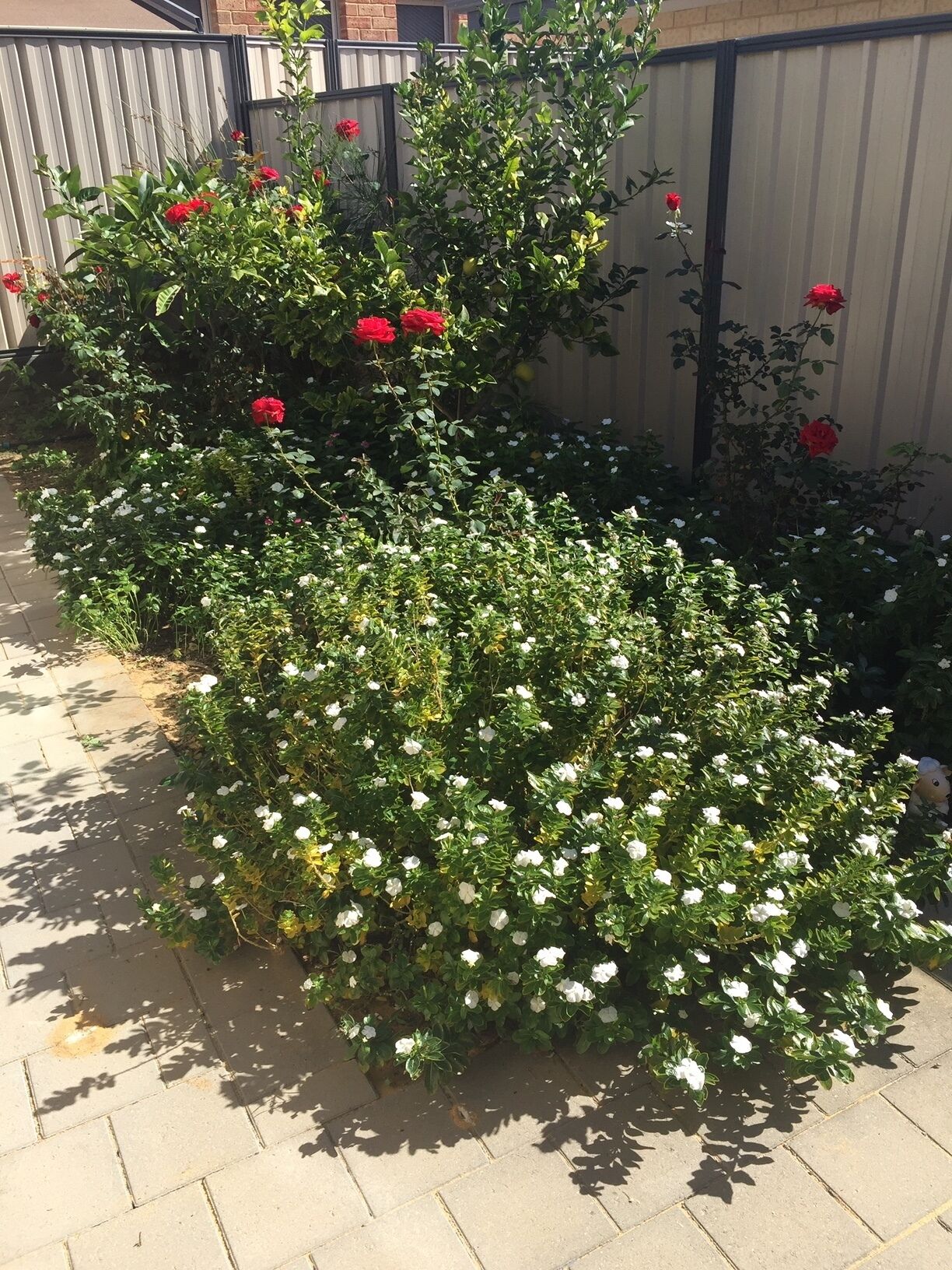 Meadow Springs - Modern & Stylish in Mandurah — image 27