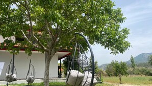A tree with a swing chair and a hanging chair in a grassy area with a building in the background. - Dalaman Airport Guesthouse (Dalaman)