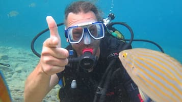 Un buzo bajo el agua señalando un pez.