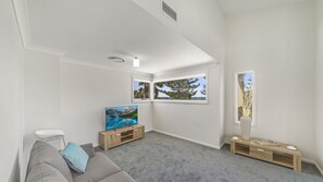 Télévision, Netflix, services de streaming