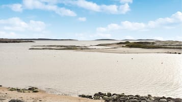 In StrandnÀhe, Angeln