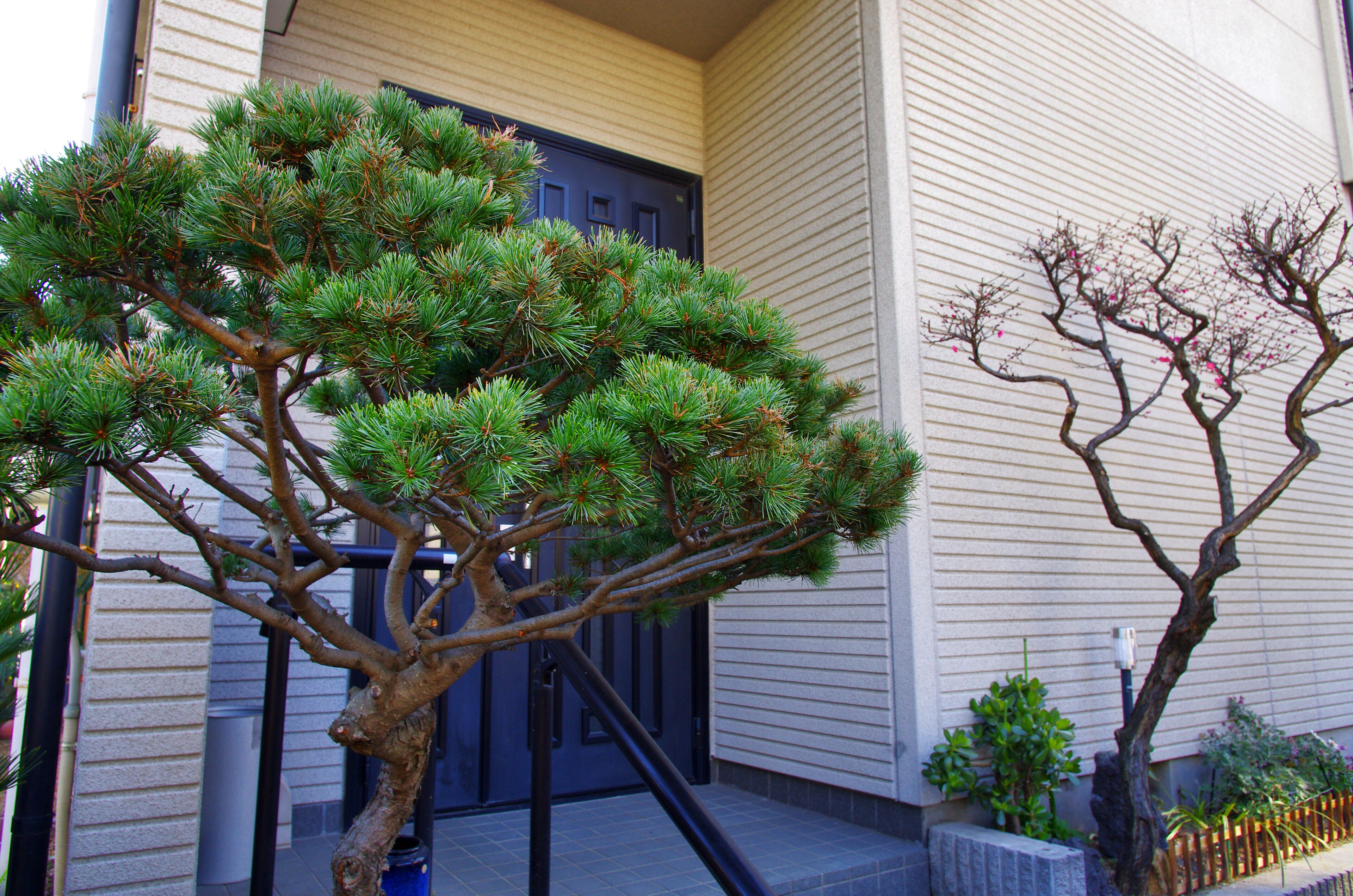 Pintu masuk hartanah