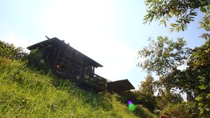 Une cabane en bois rustique, nichée dans un écrin de verdure, avec un ciel dégagé au-dessus.