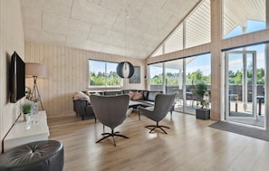 Tv, pejs, dvd-afspiller, bordfodbold