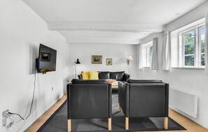 Fernseher, Kamin