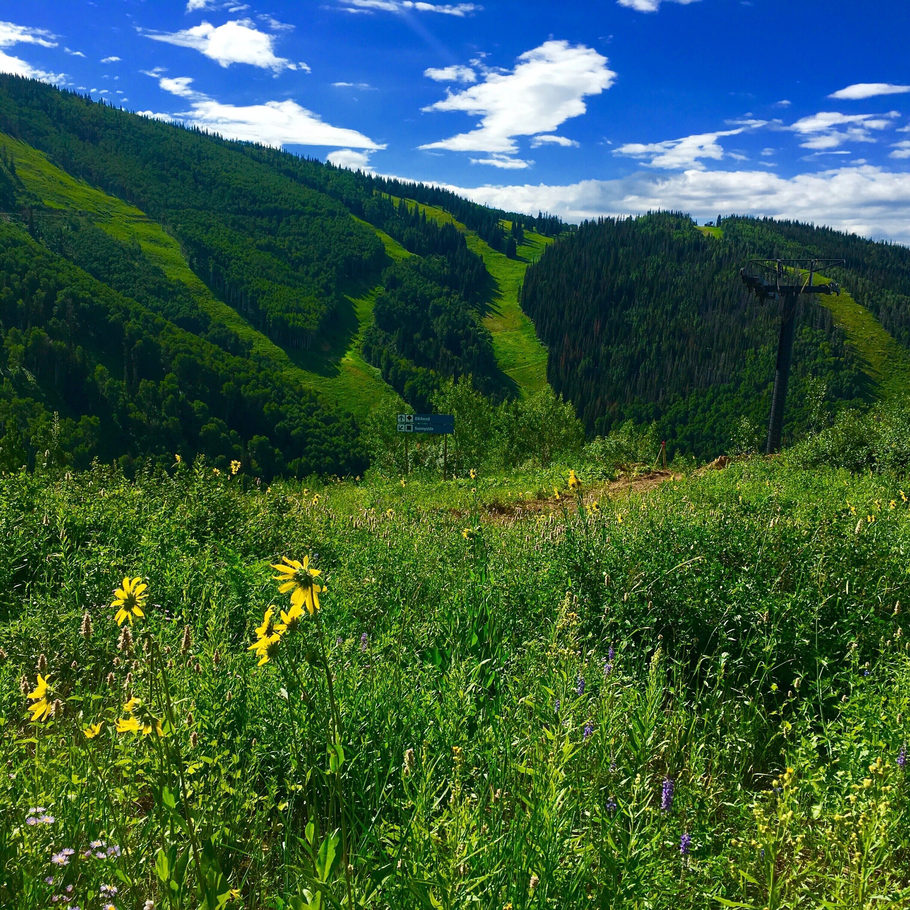 A mountainous landscape with a clear sky, a valley with a path, and a sign indicating directions to Elkhead and Sunnydale.
