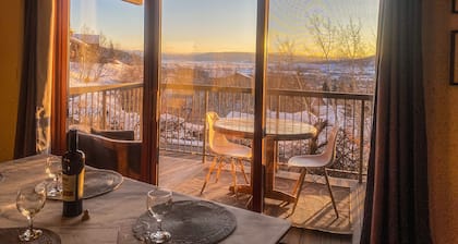 Yampa View Condo