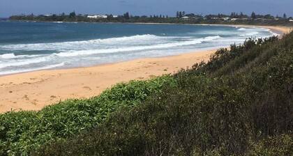Perlmuttschalen bei Culburra Beach