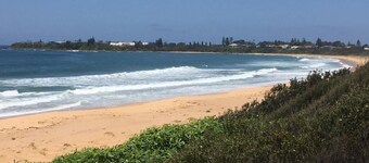 カルブラビーチの真珠貝