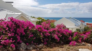 Une vue sur la côte, avec des bâtiments blancs, des bougainvilliers roses et un ciel bleu azur.