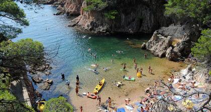 "La Terrasse de la mer 8"Air-conditioned chalet (74m2+60m2 terrace)-Wifi-BBQ-Pkg