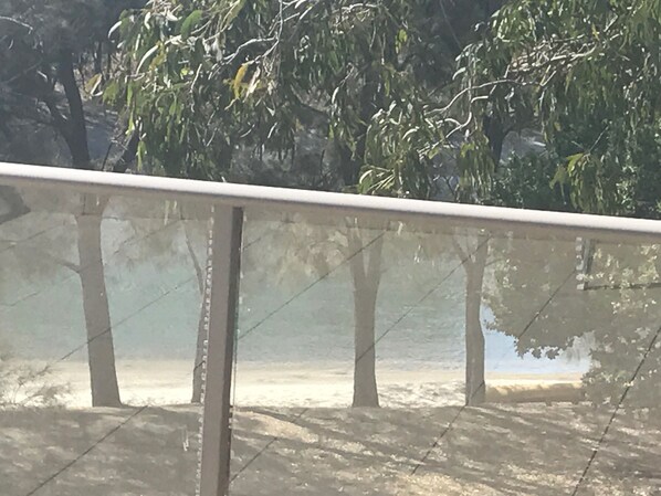 Exterior - Jungle River Home Lakeside (Maroochydore)