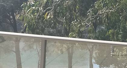 Jungle River Home Lakeside