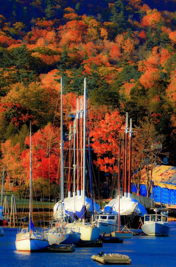 Marina - Walk to BAYSIDE MONTHLY DISCOUNTS ! (Northport)