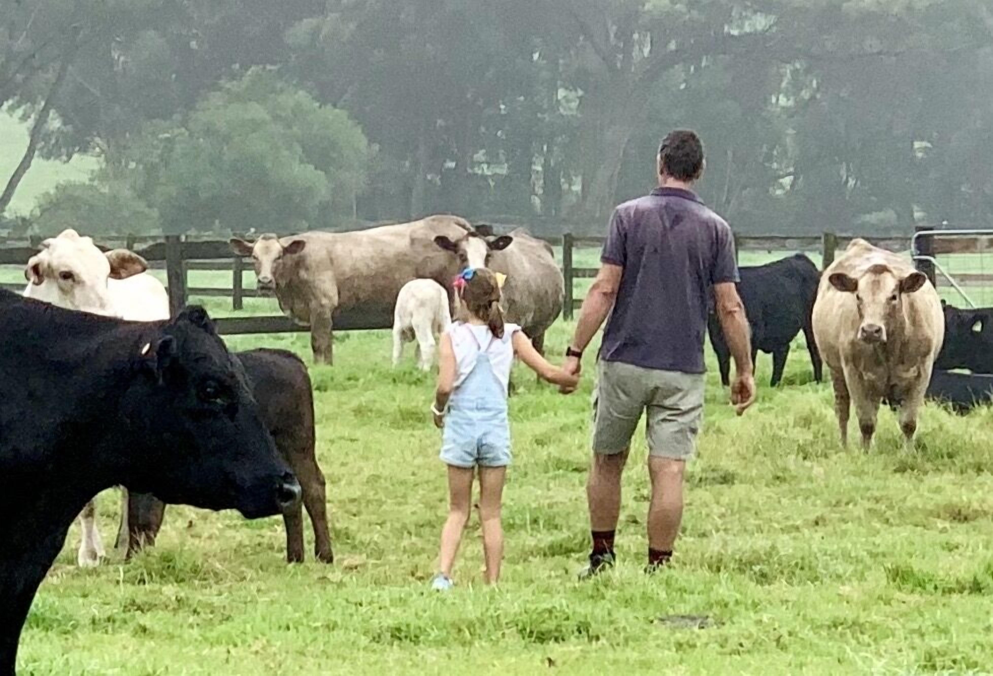 Una persona tomándose de las manos con un niño en un campo de hierba, con vacas al fondo.