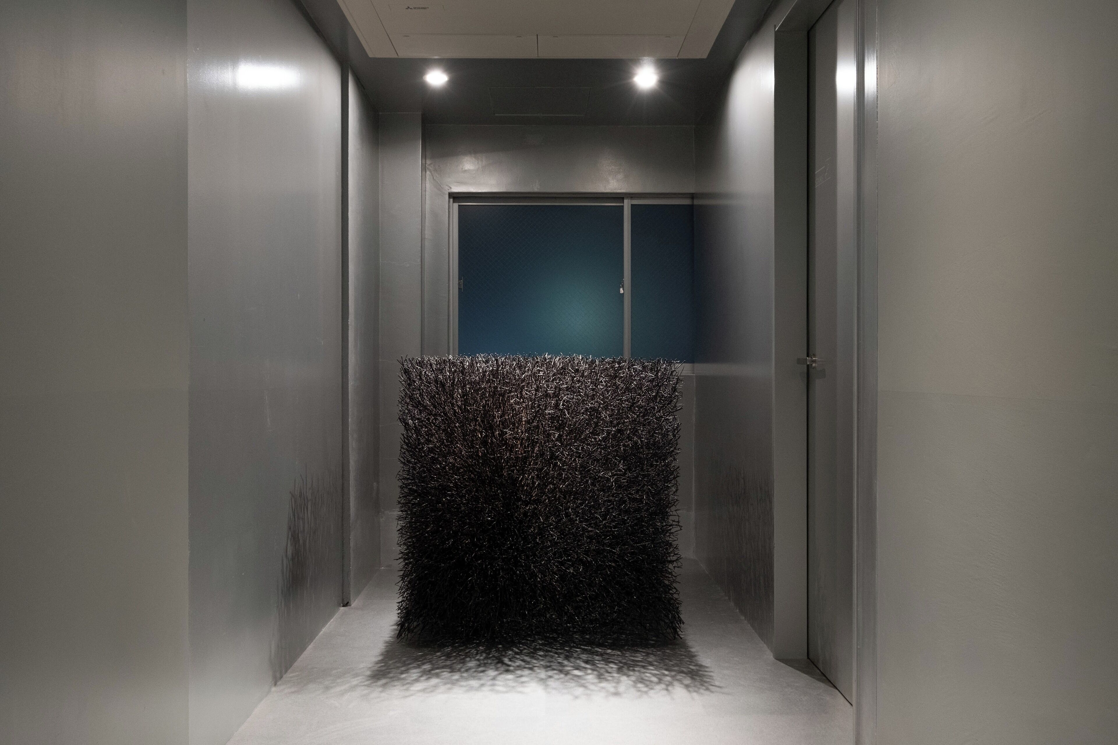 A narrow hallway with a textured wall feature and a door at the end.