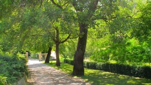 Un sendero pavimentado atraviesa un parque con árboles y un seto a un lado.