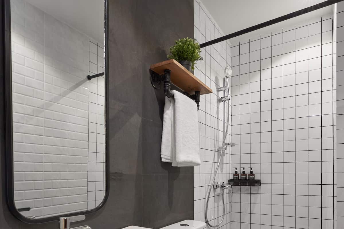 Shower, free toiletries, hair dryer, bidet