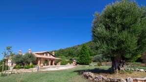 A rustic house with a large tree in the foreground, surrounded by a grassy area and hills in the background. - La Danza by Interhome (Todi)
