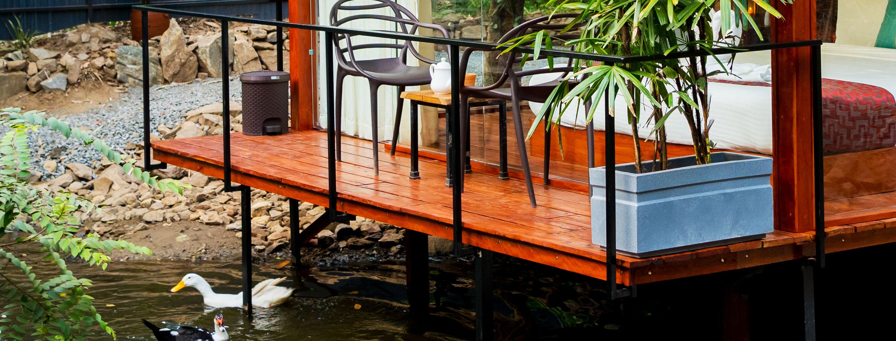 Une terrasse en bois, avec des chaises et une table, donnant sur un étang où nagent des canards.