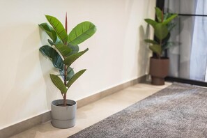 都會開放式客房 (Bellatrix) | 書桌、遮光布/窗簾、隔音、隨行嬰兒床