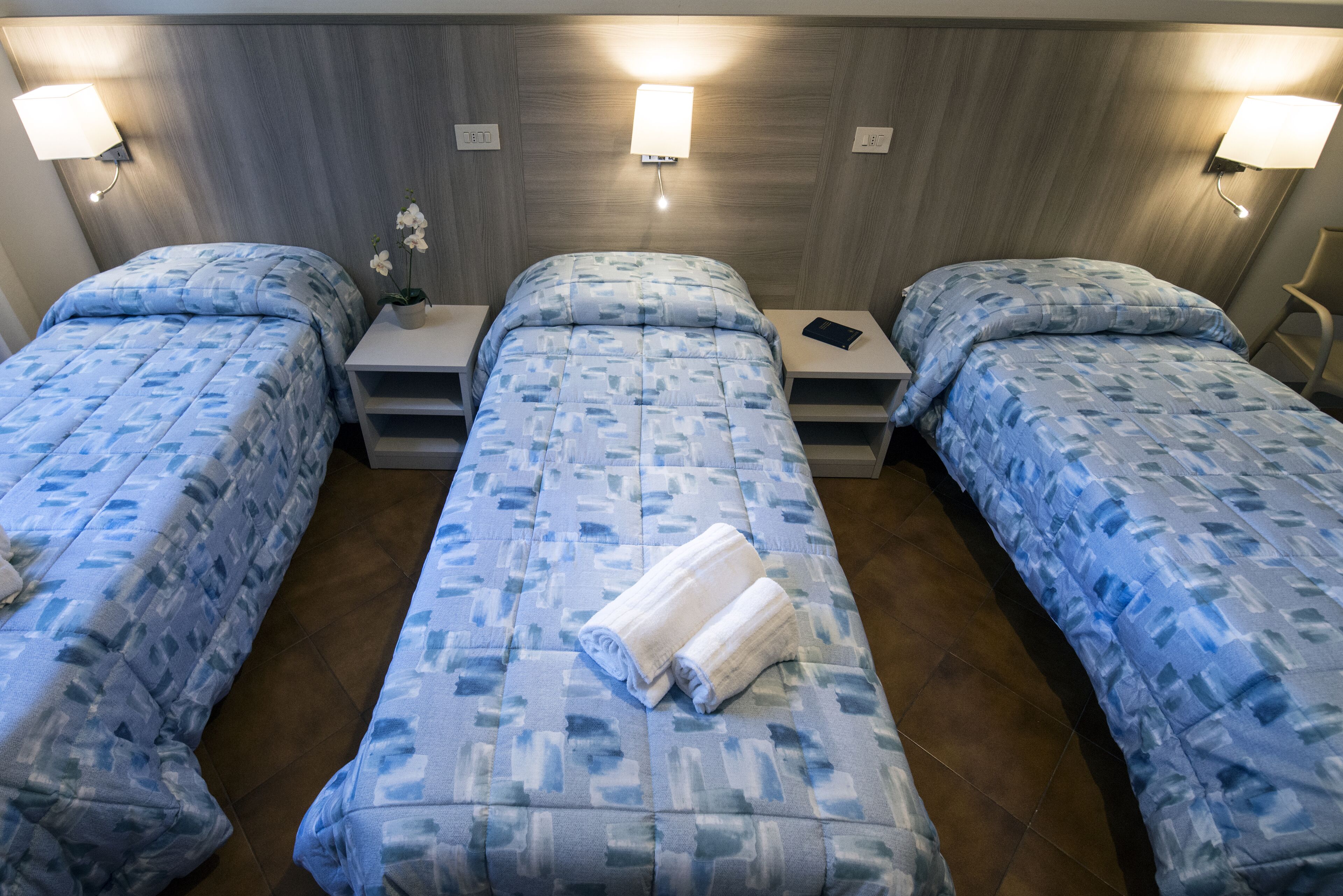 Una habitación de hotel con dos camas individuales, una mesita de noche con lámpara y una pequeña mesa con una planta.