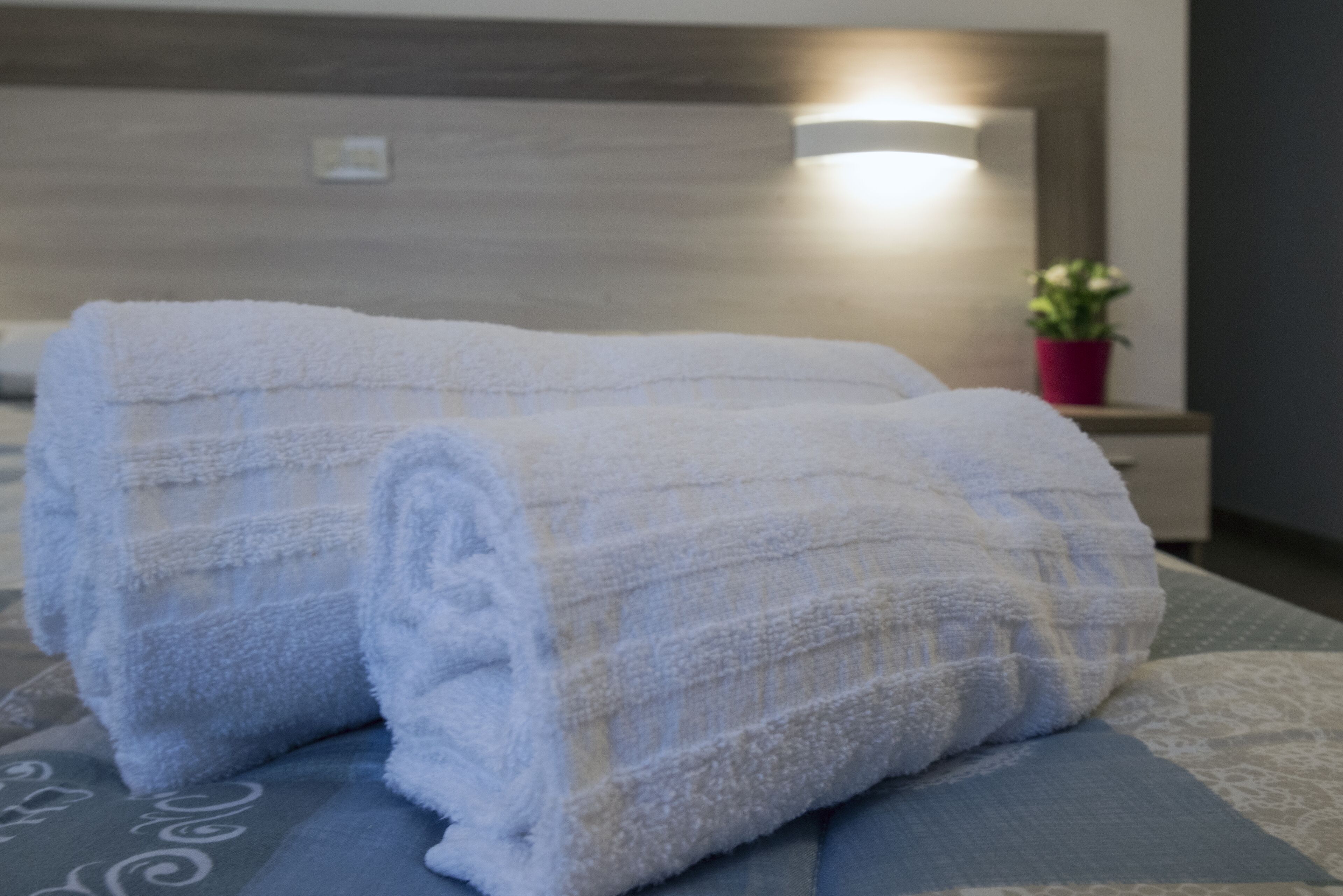 Foto - Foresteria Valdese di Firenze