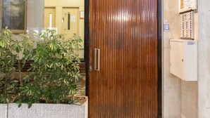 A wooden door with a metal handle, a small step leading up to it, and a potted plant to the left. - A short walk to Syntagma and Plaka (Athens)