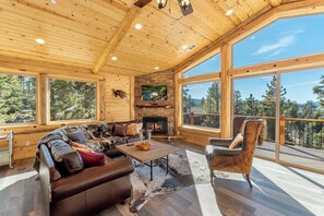 TV, fireplace, video games, DVD player