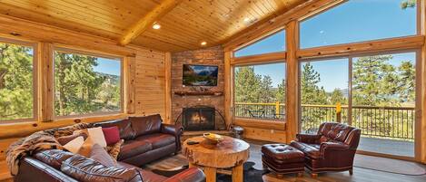 TV, fireplace, video games, DVD player