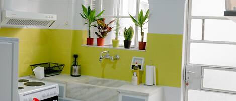 A kitchen with a stove, sink, and a window with potted plants.